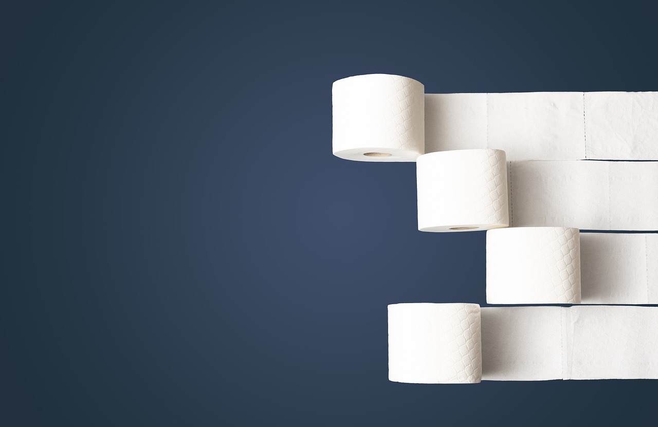 toilet paper toilet paper loo 4974461